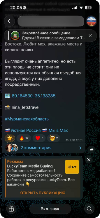 Рекламное объявление внизу чата в Телеграм (Target Channels)